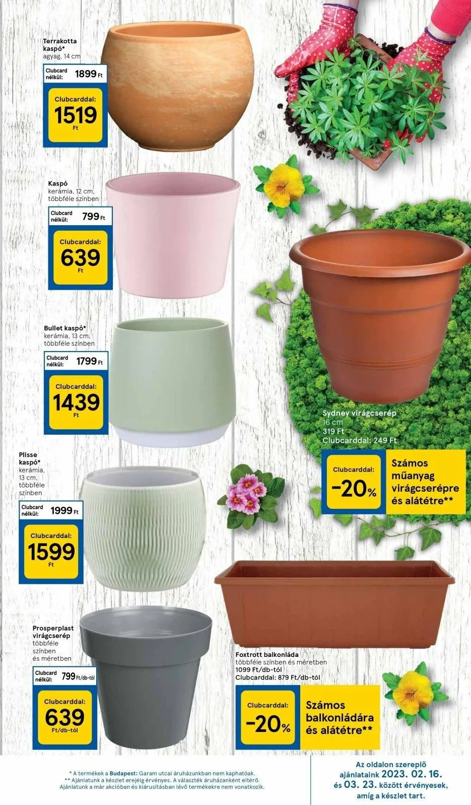 Tesco akciós újság 02.16–02.22 – 31. oldal