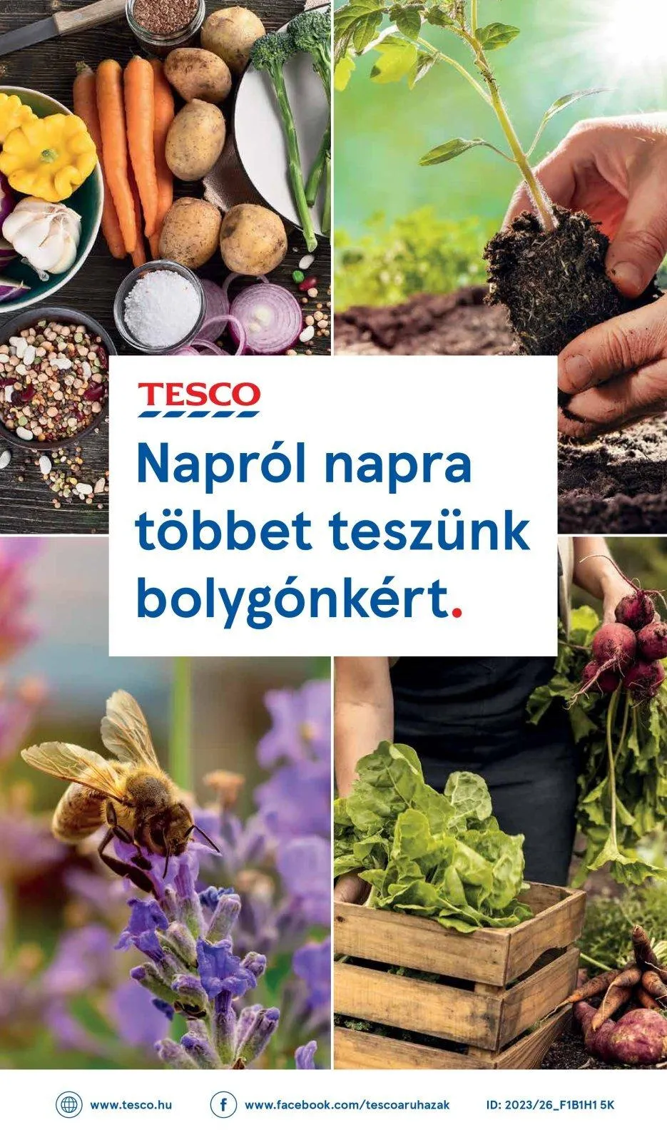 Tesco akciós újság Hipermarket 08.24–08.30 – 44. oldal