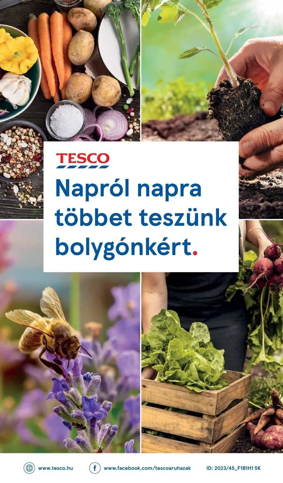 Tesco akciós újság Hipermarket 01.04–01.10 – 44. oldal