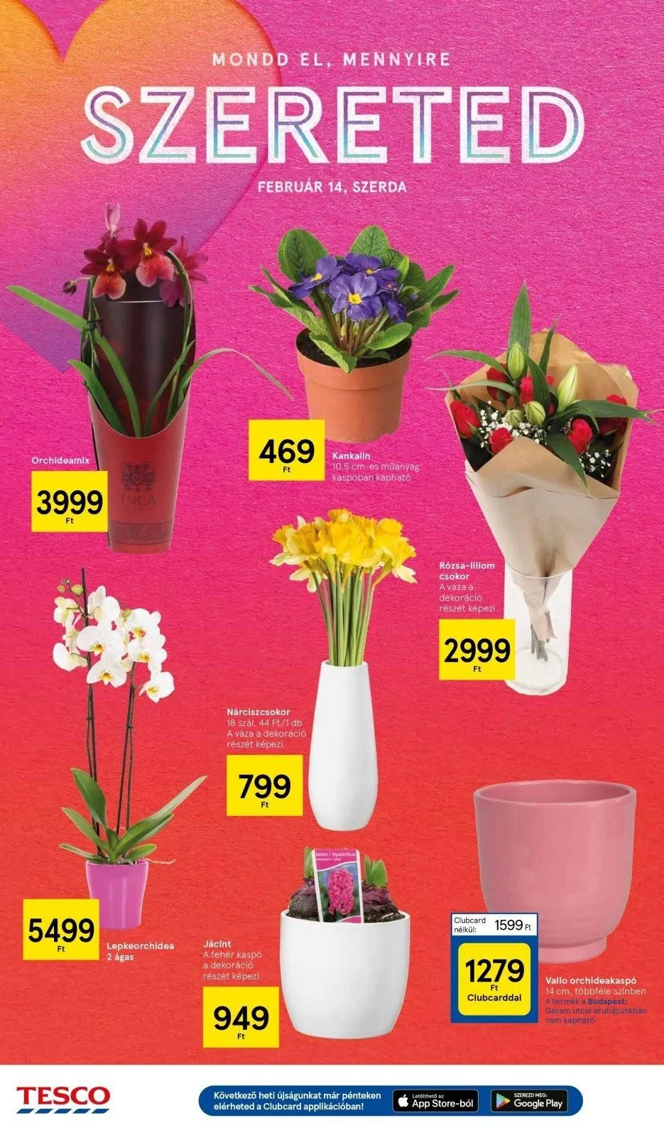 Tesco akciós újság Hipermarket 02.01–02.07 – 20. oldal