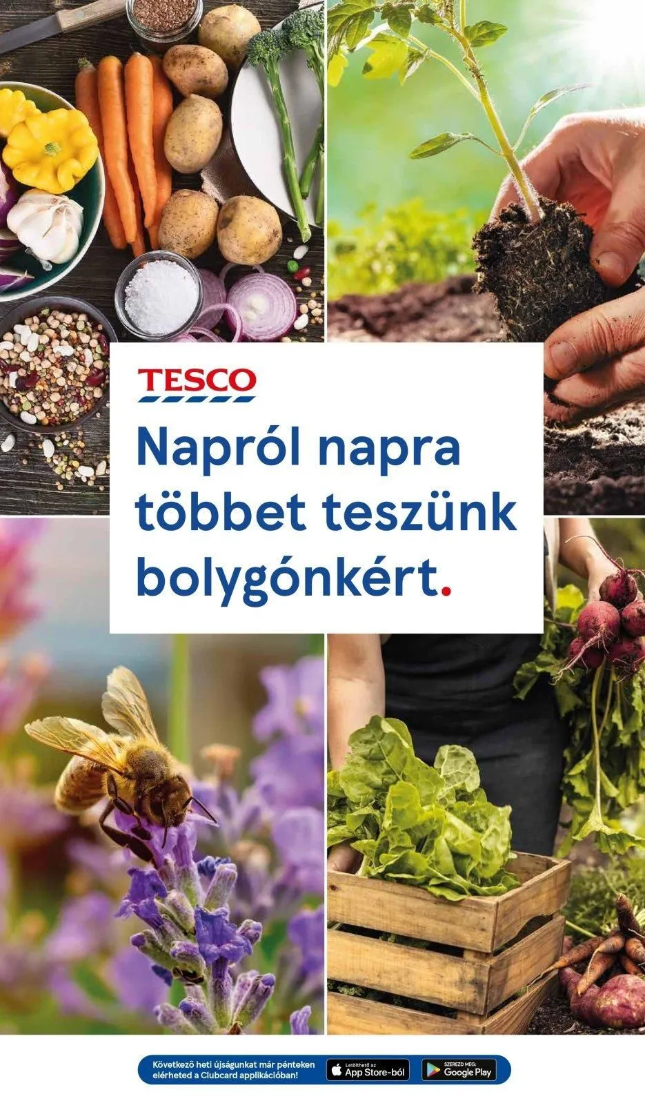 Tesco akciós újság Hipermarket 02.22–02.28 – 25. oldal