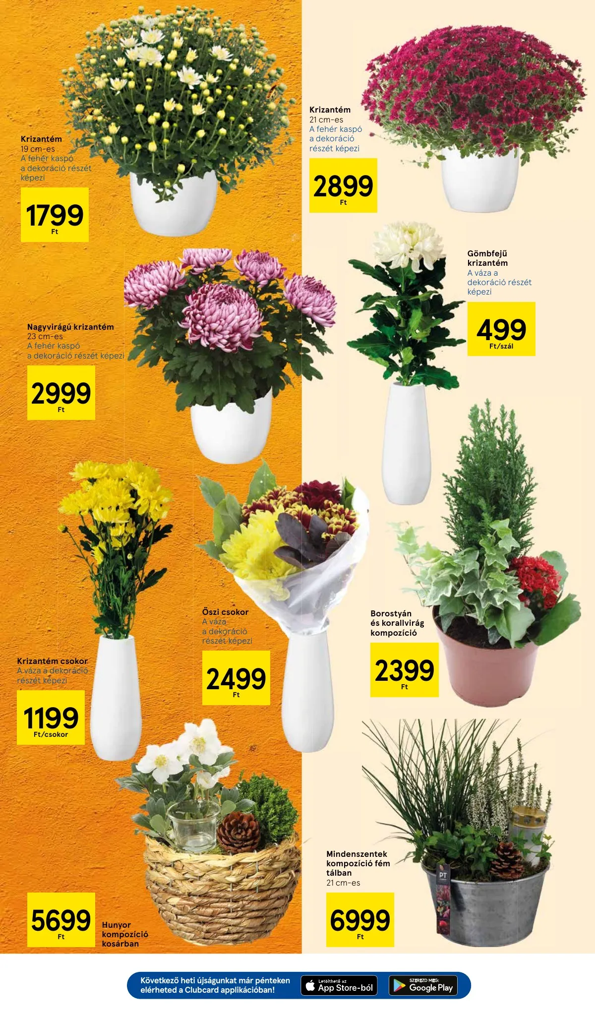 Tesco akciós újság Hipermarket 10.30–11.05 – 11. oldal