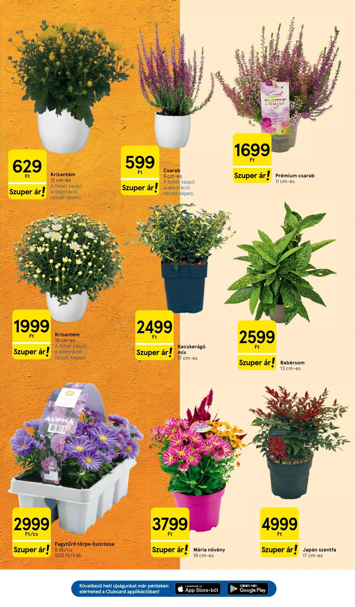 Tesco akciós újság Hipermarket 10.01–10.07 – 19. oldal