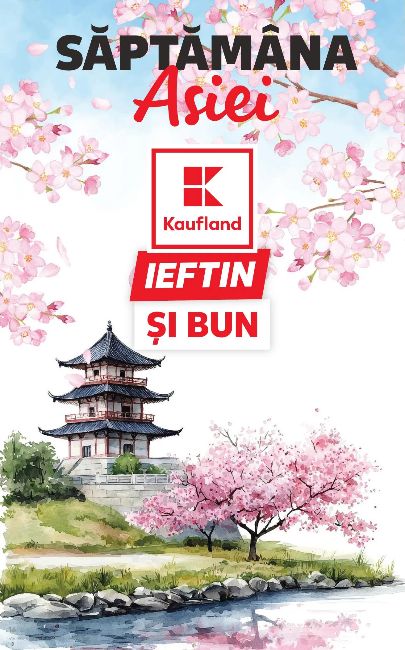 Kaufland akciós újság Románia Azsiai het 03.18–03.24 – 16. oldal
