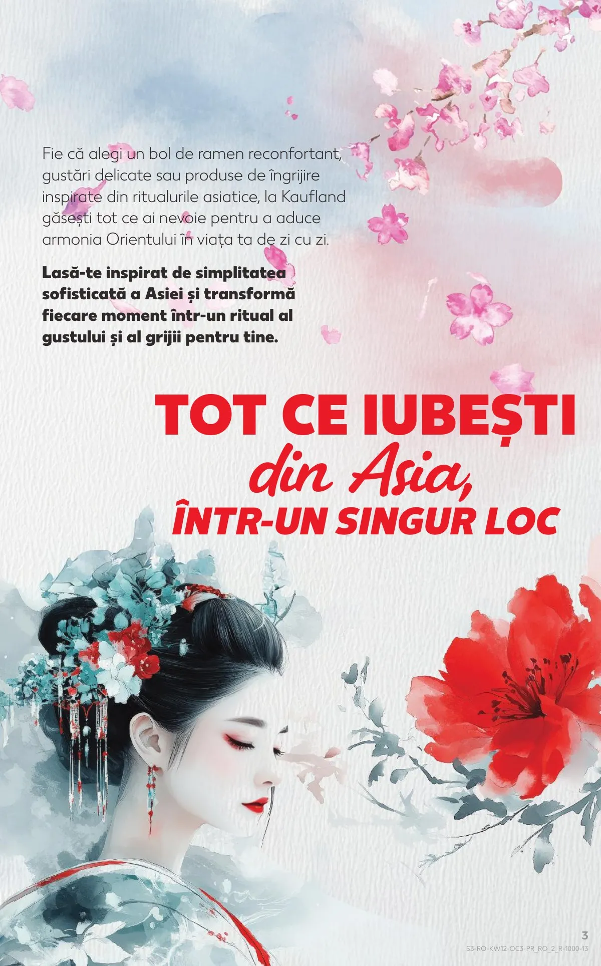 Kaufland akciós újság Románia Azsiai het 03.18–03.24 – 3. oldal