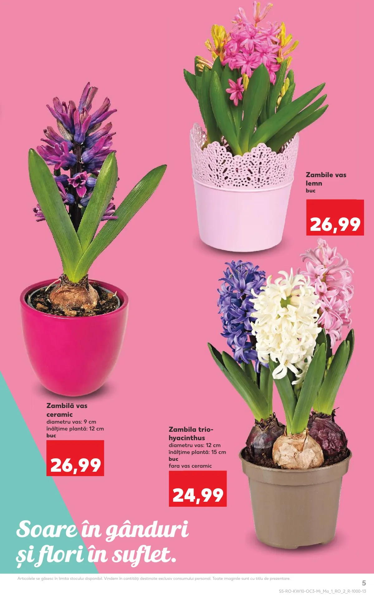 Kaufland akciós újság Románia húsvét 03.04–03.10 – 5. oldal