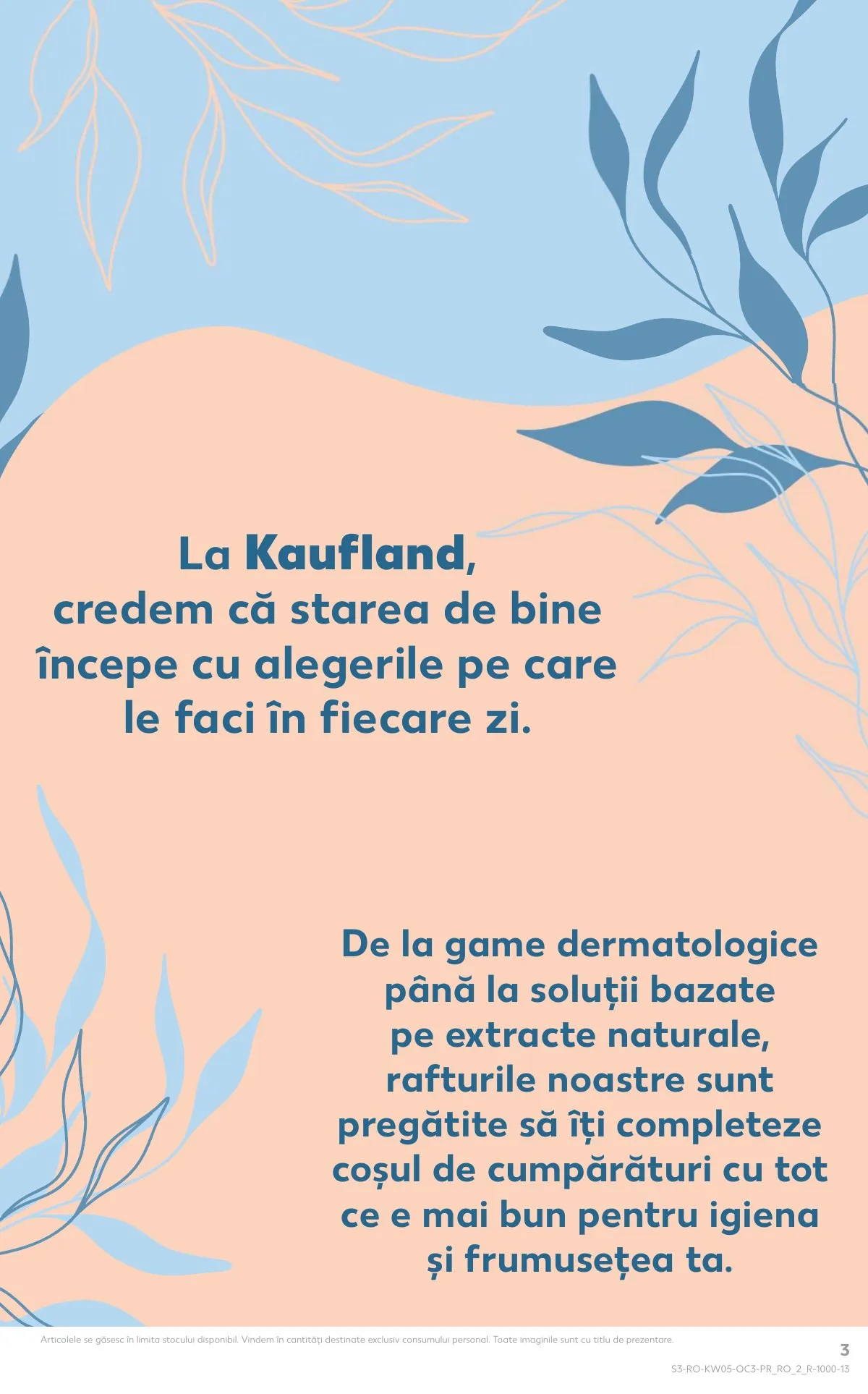 Kaufland akciós újság Románia Szepsegapolas 01.28–02.03 – 3. oldal