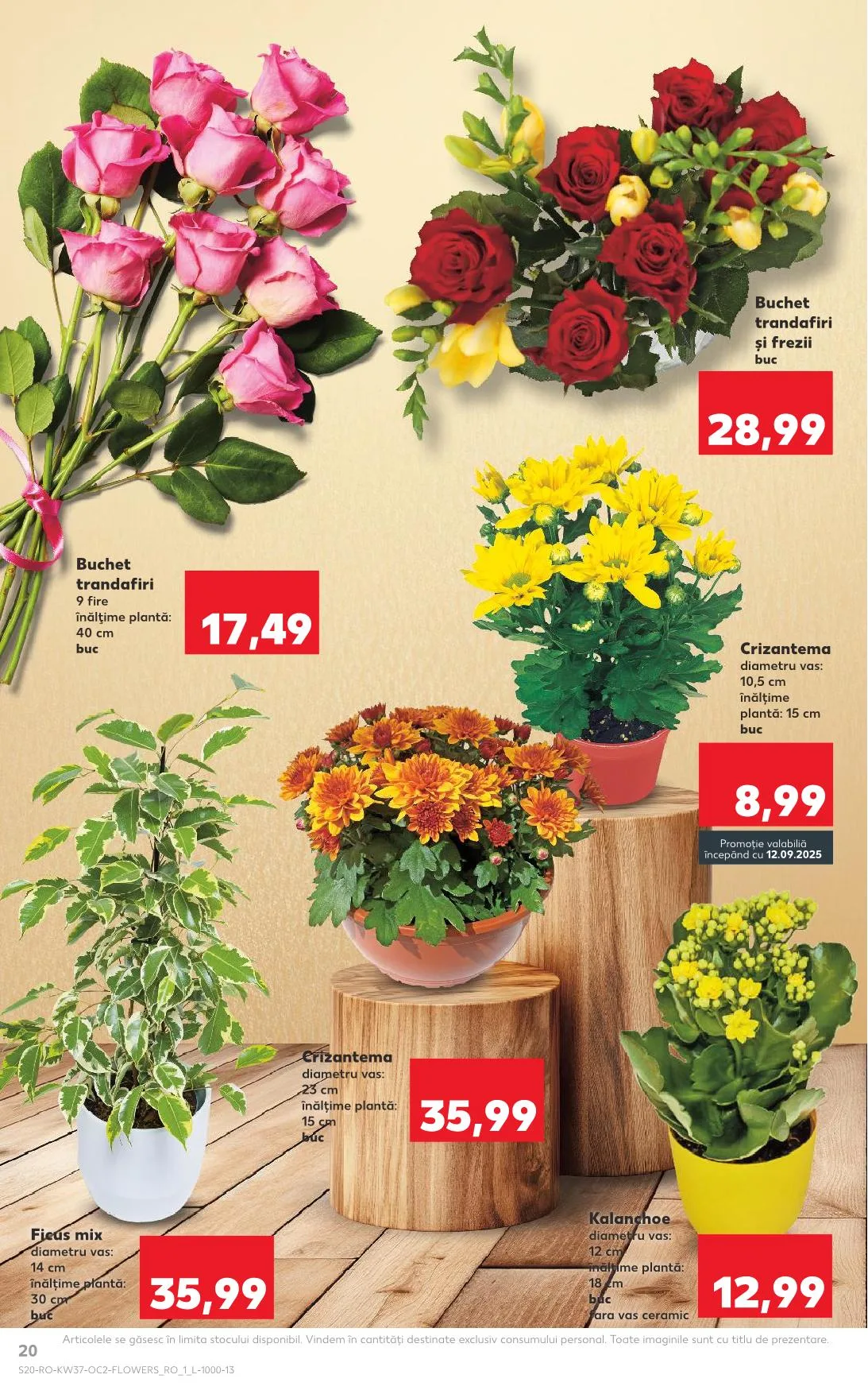 Kaufland akciós újság Románia 09.10–09.16 – 13. oldal
