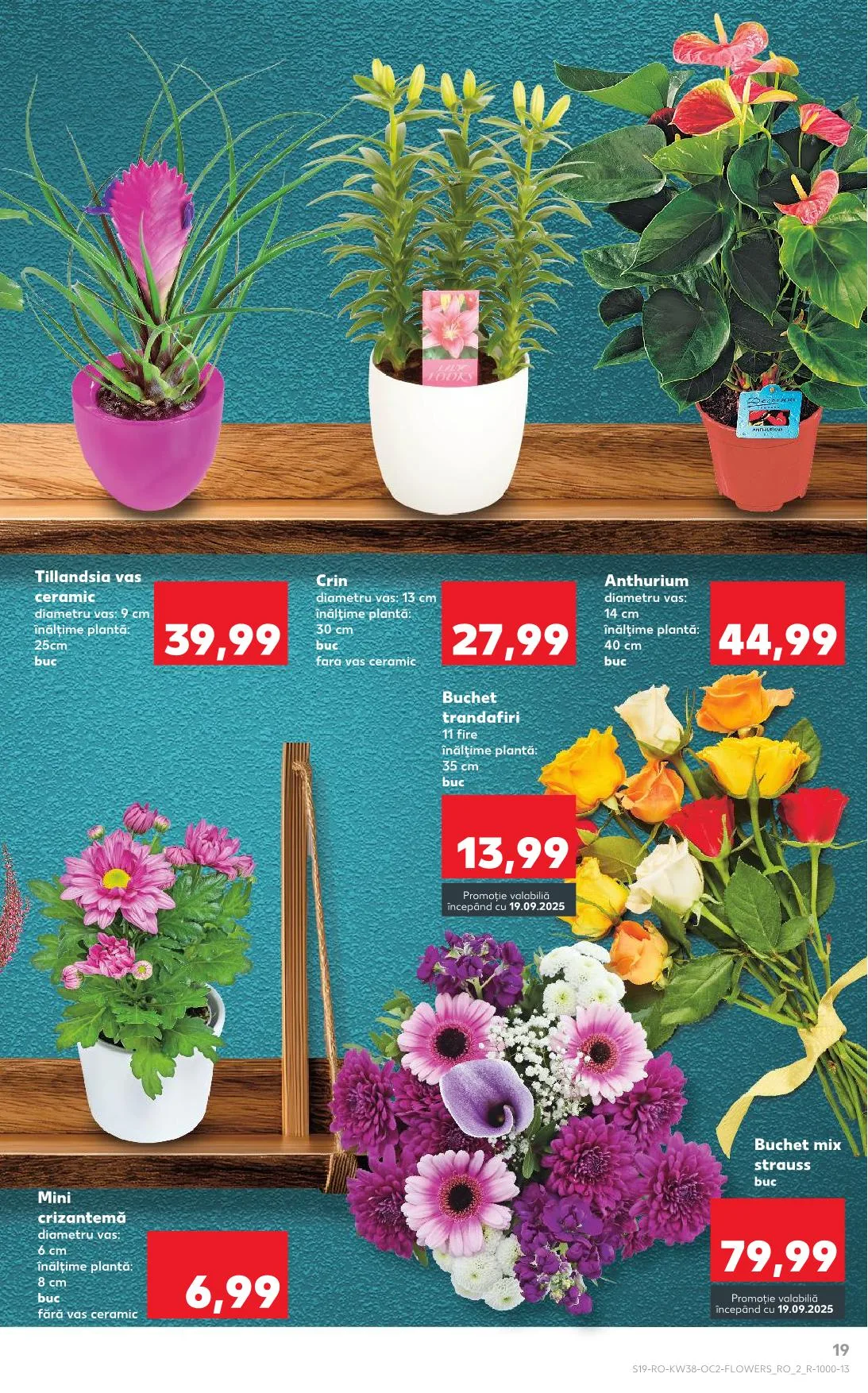 Kaufland akciós újság Románia 09.17–09.23 – 11. oldal