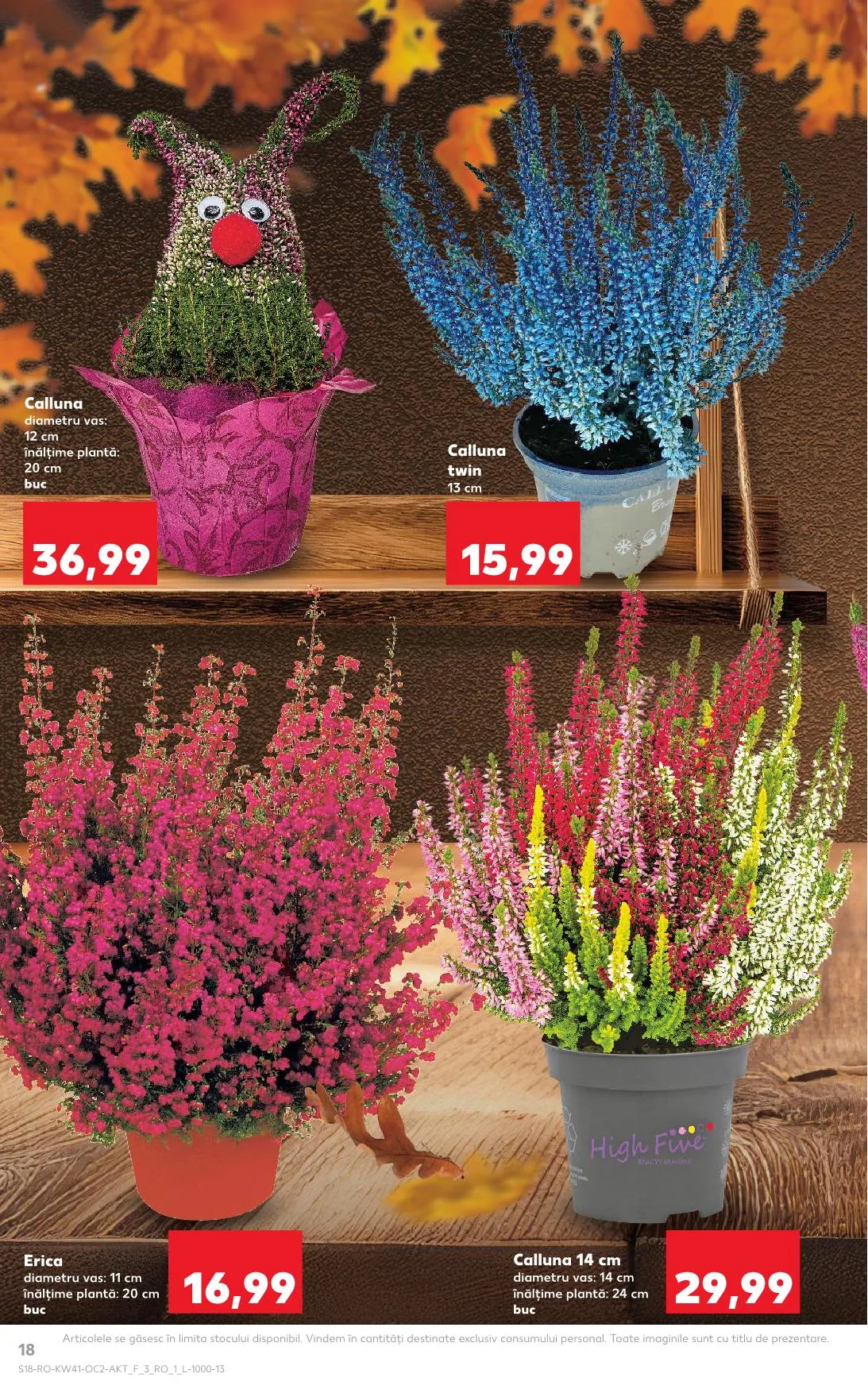 Kaufland akciós újság Románia 10.08–10.14 – 10. oldal