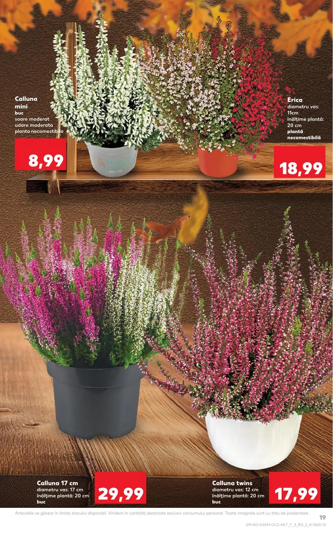 Kaufland akciós újság Románia 10.08–10.14 – 11. oldal