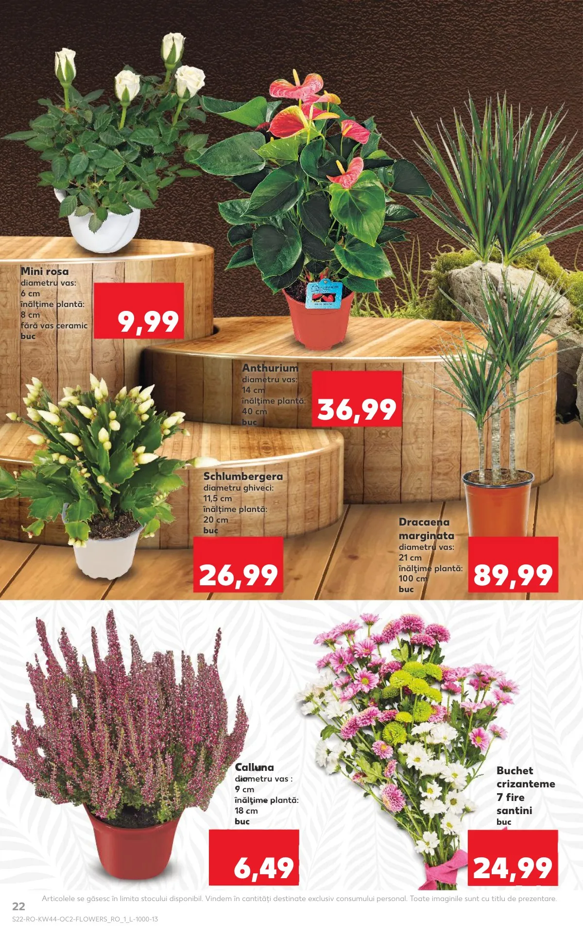 Kaufland akciós újság Románia 10.29–11.04 – 22. oldal