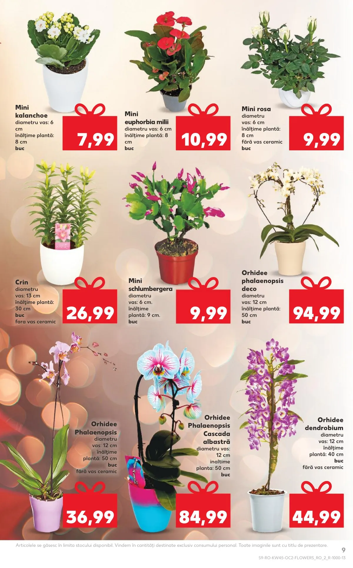 Kaufland akciós újság Románia 11.05–11.11 – 9. oldal