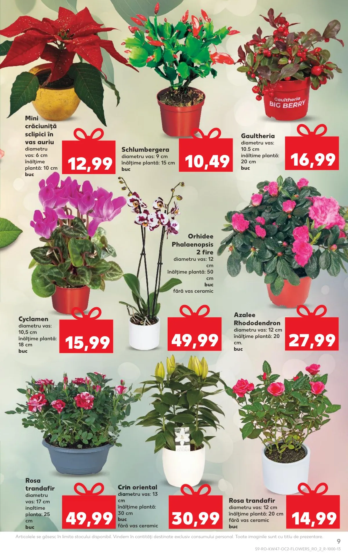 Kaufland akciós újság Románia 11.19–11.25 – 9. oldal