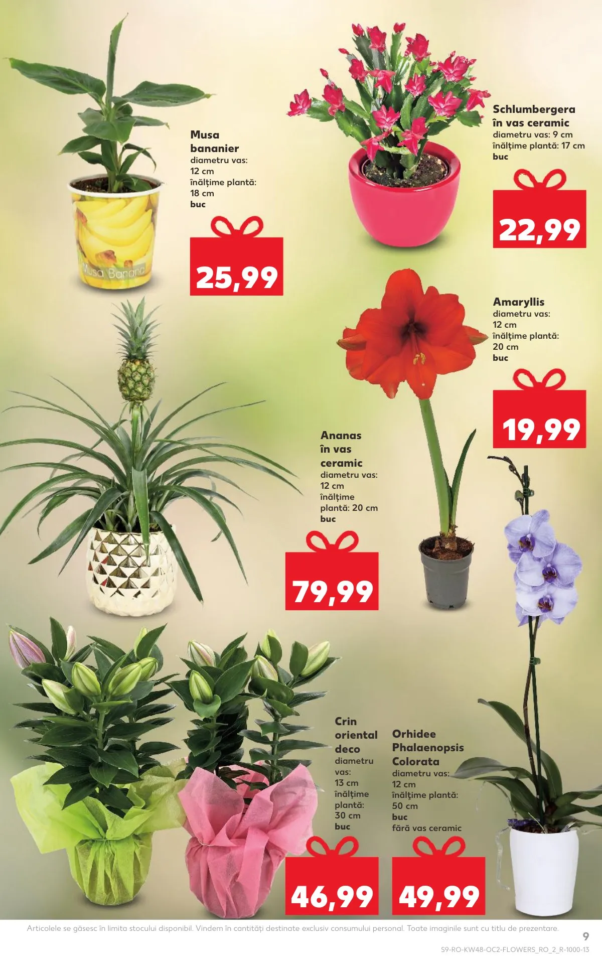 Kaufland akciós újság Románia 11.26–12.02 – 9. oldal