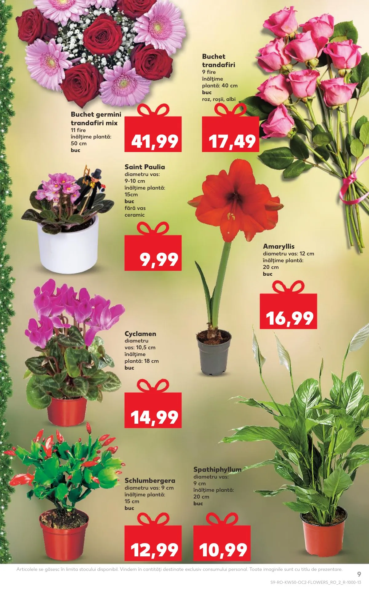Kaufland akciós újság Románia 12.10–12.16 – 9. oldal