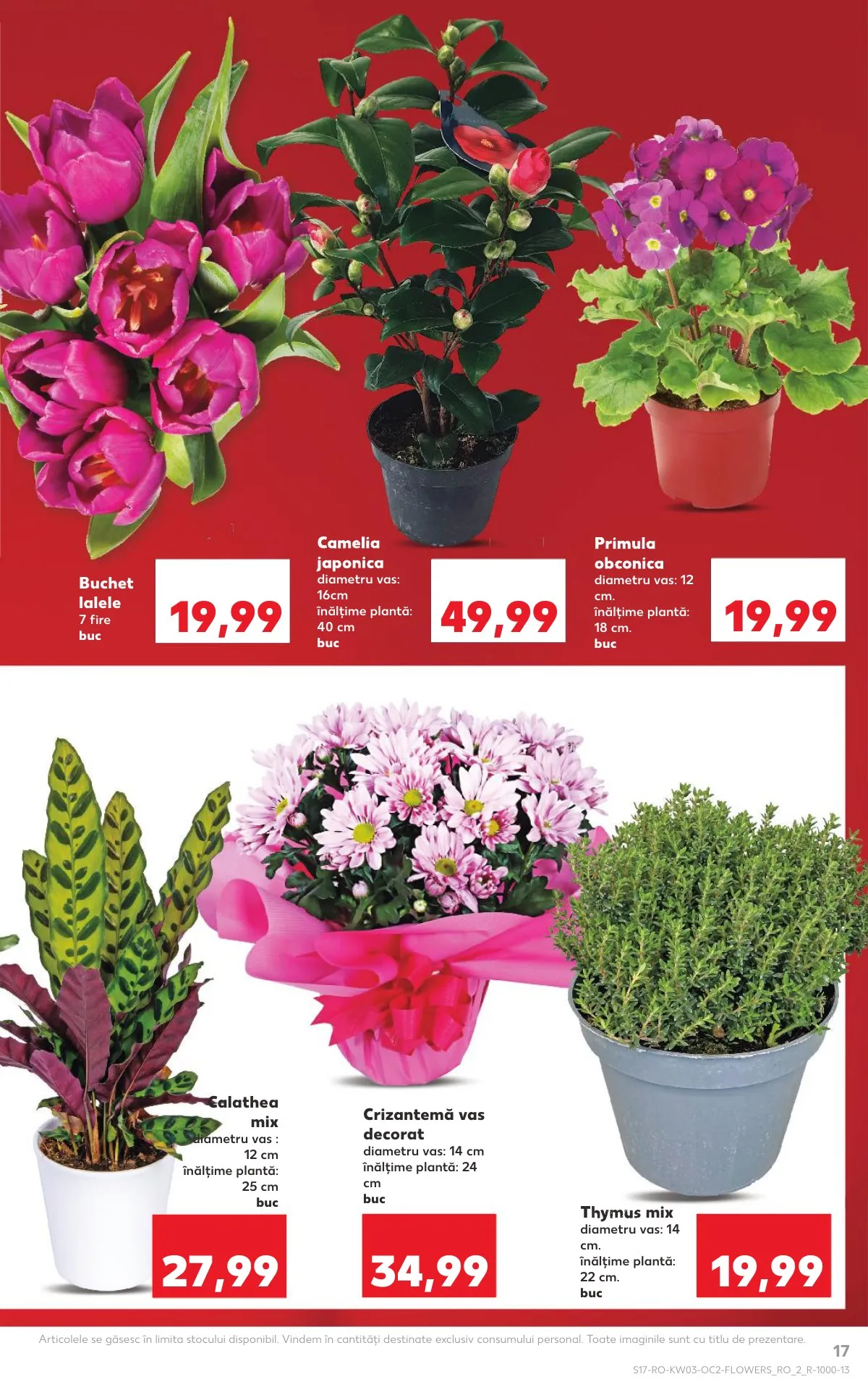 Kaufland akciós újság Románia 01.14–01.20 – 17. oldal