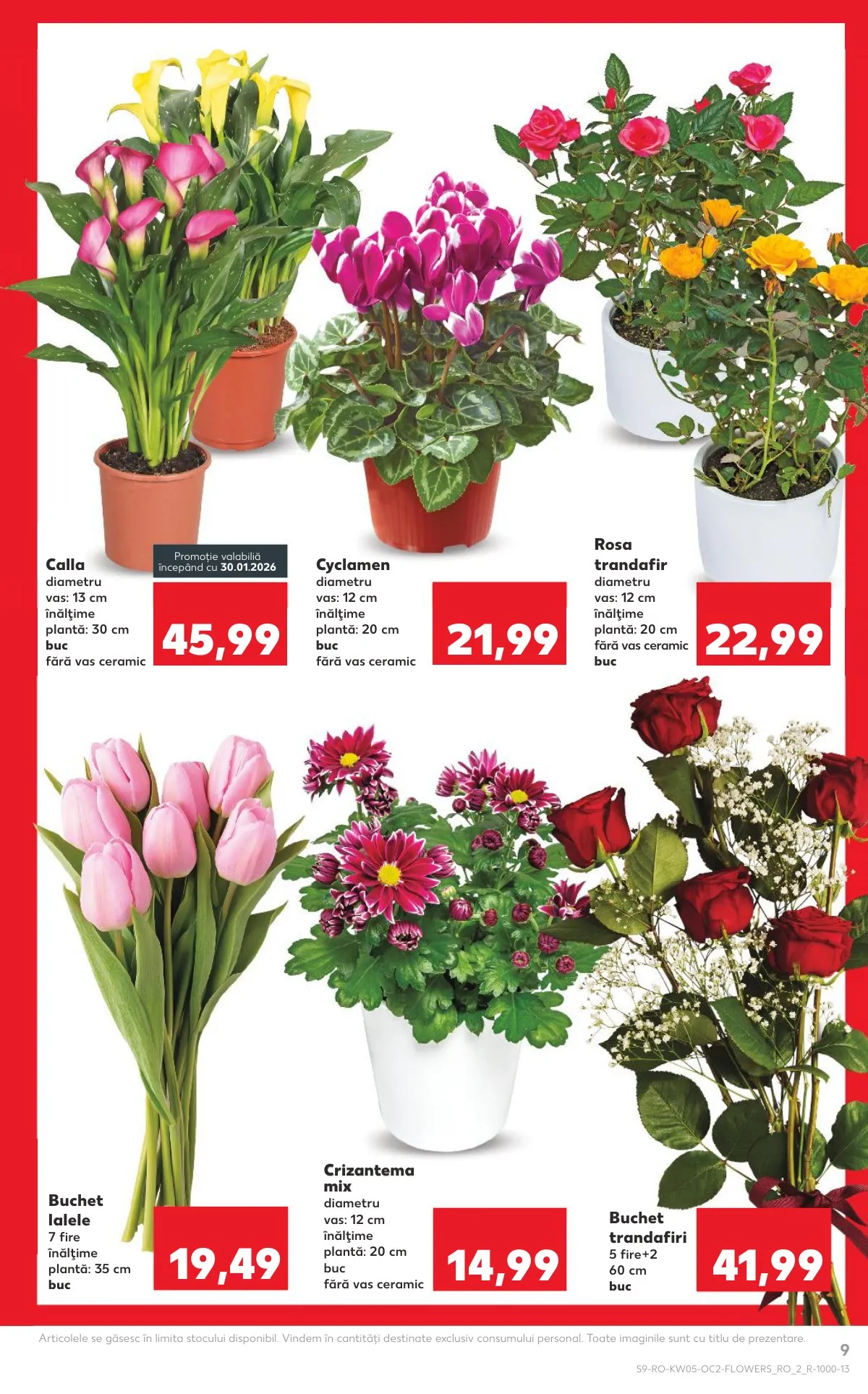 Kaufland akciós újság Románia 01.28–02.03 – 9. oldal