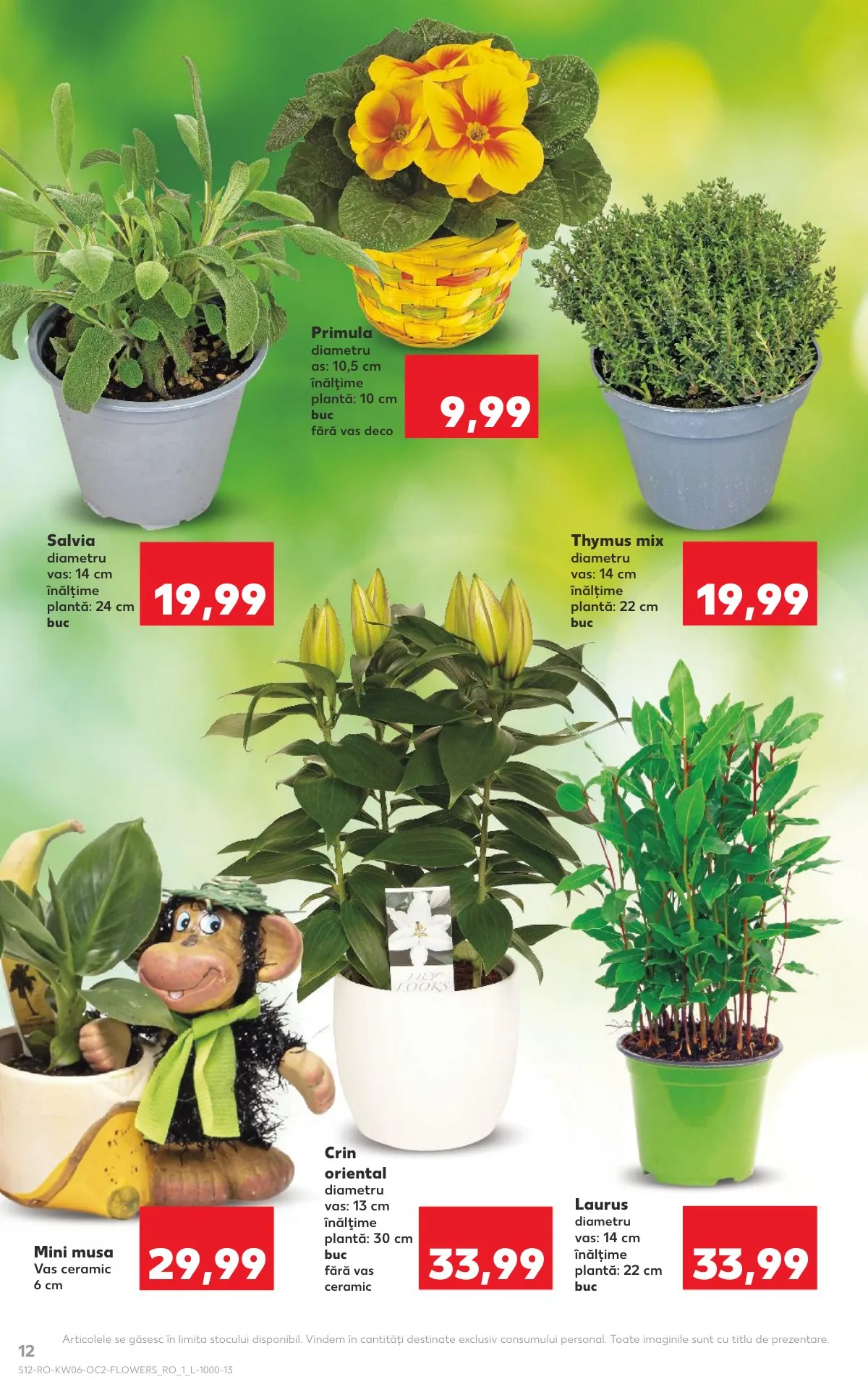 Kaufland akciós újság Románia 02.04–02.10 – 12. oldal