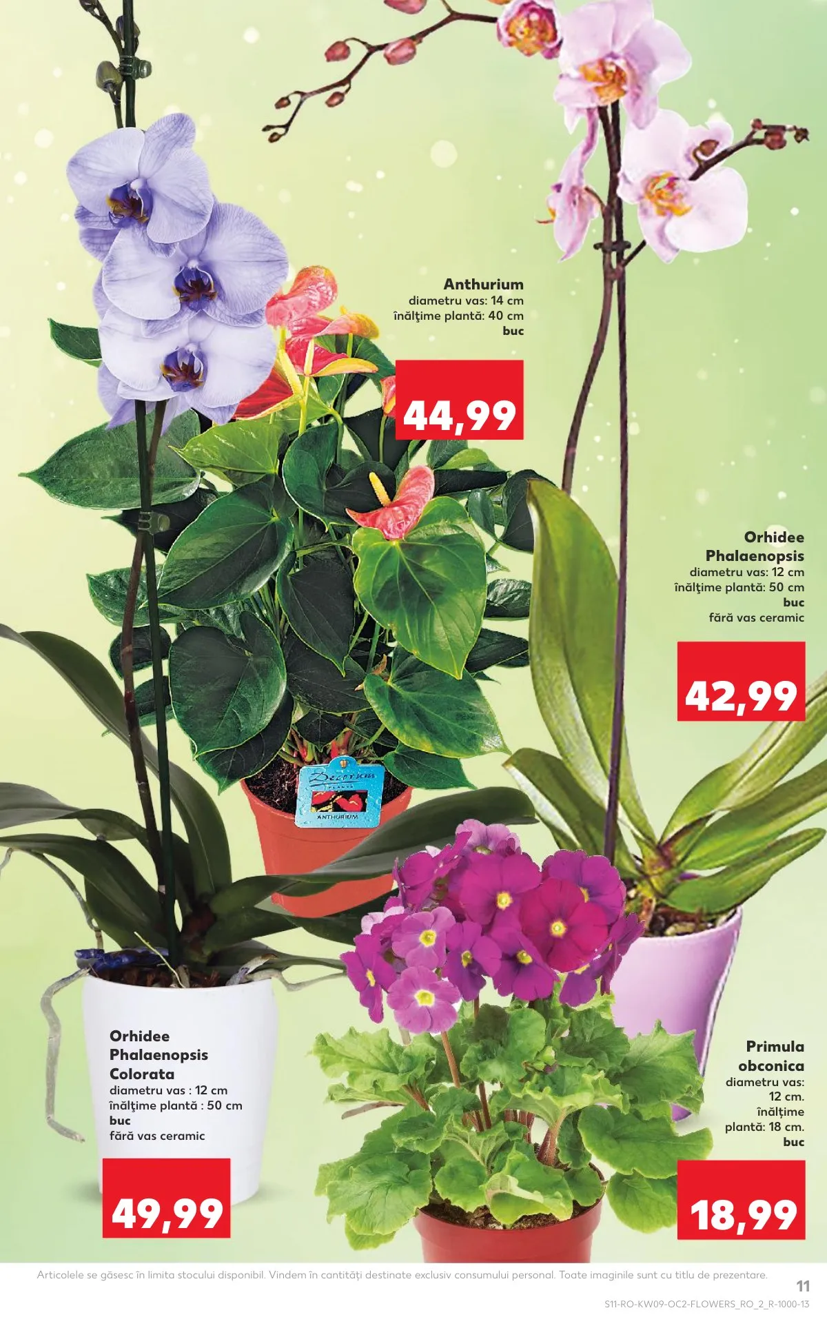 Kaufland akciós újság Románia 02.25–03.03 – 11. oldal