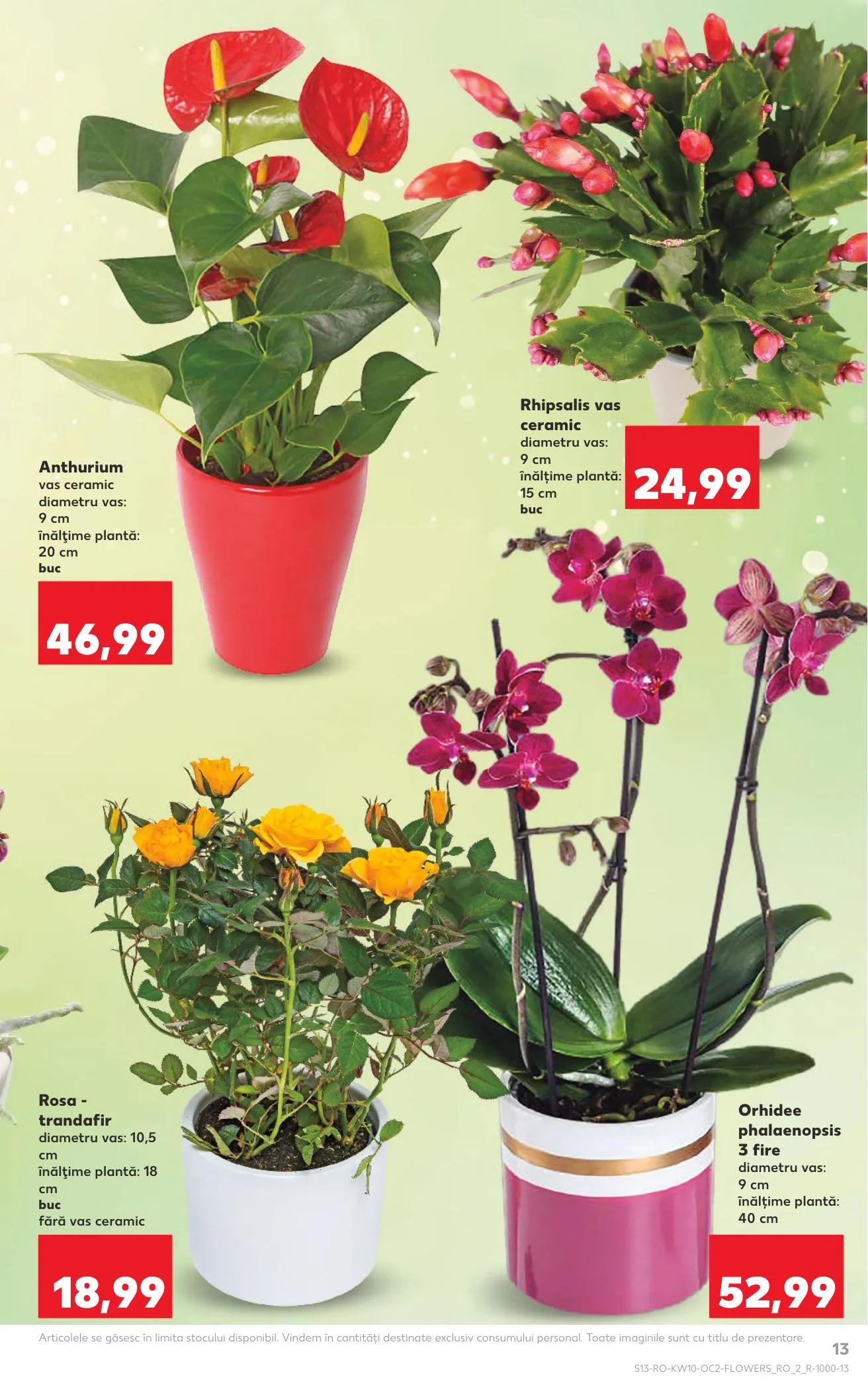 Kaufland akciós újság Románia 03.04–03.10 – 13. oldal