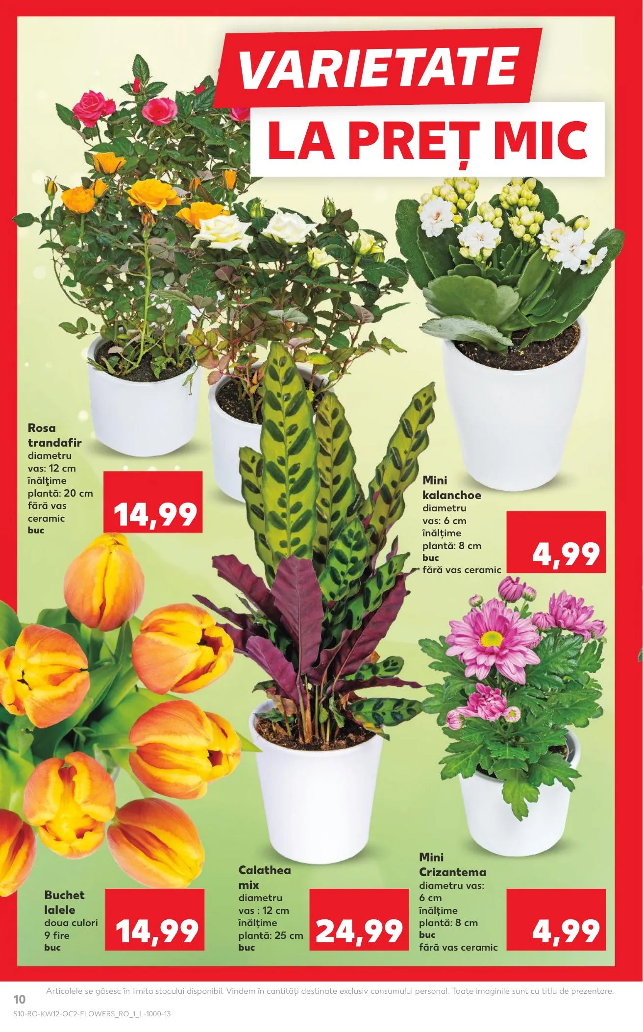 Kaufland akciós újság Románia 03.18–03.24 – 10. oldal