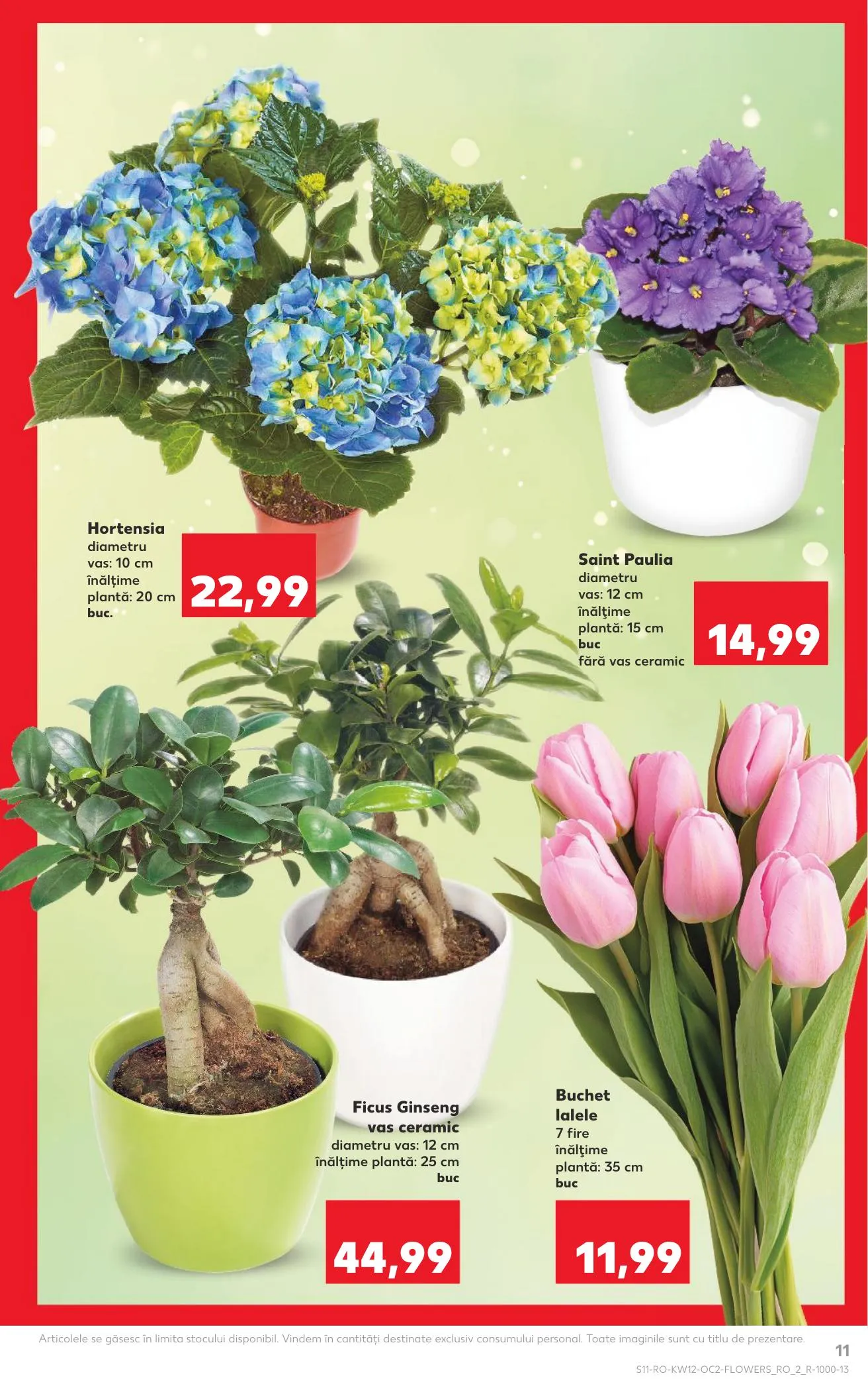 Kaufland akciós újság Románia 03.18–03.24 – 11. oldal