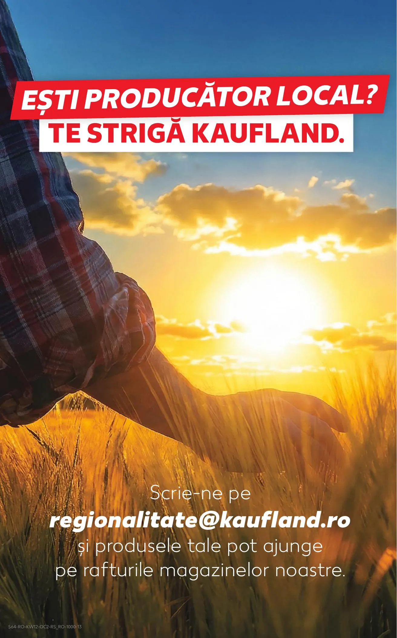 Kaufland akciós újság Románia 03.18–03.24 – 64. oldal