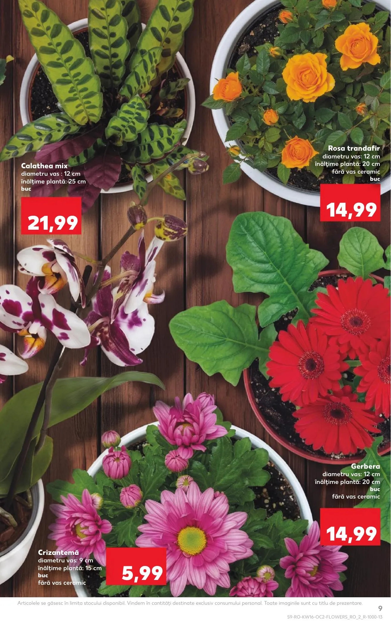 Kaufland akciós újság Románia 04.15–04.21 – 9. oldal