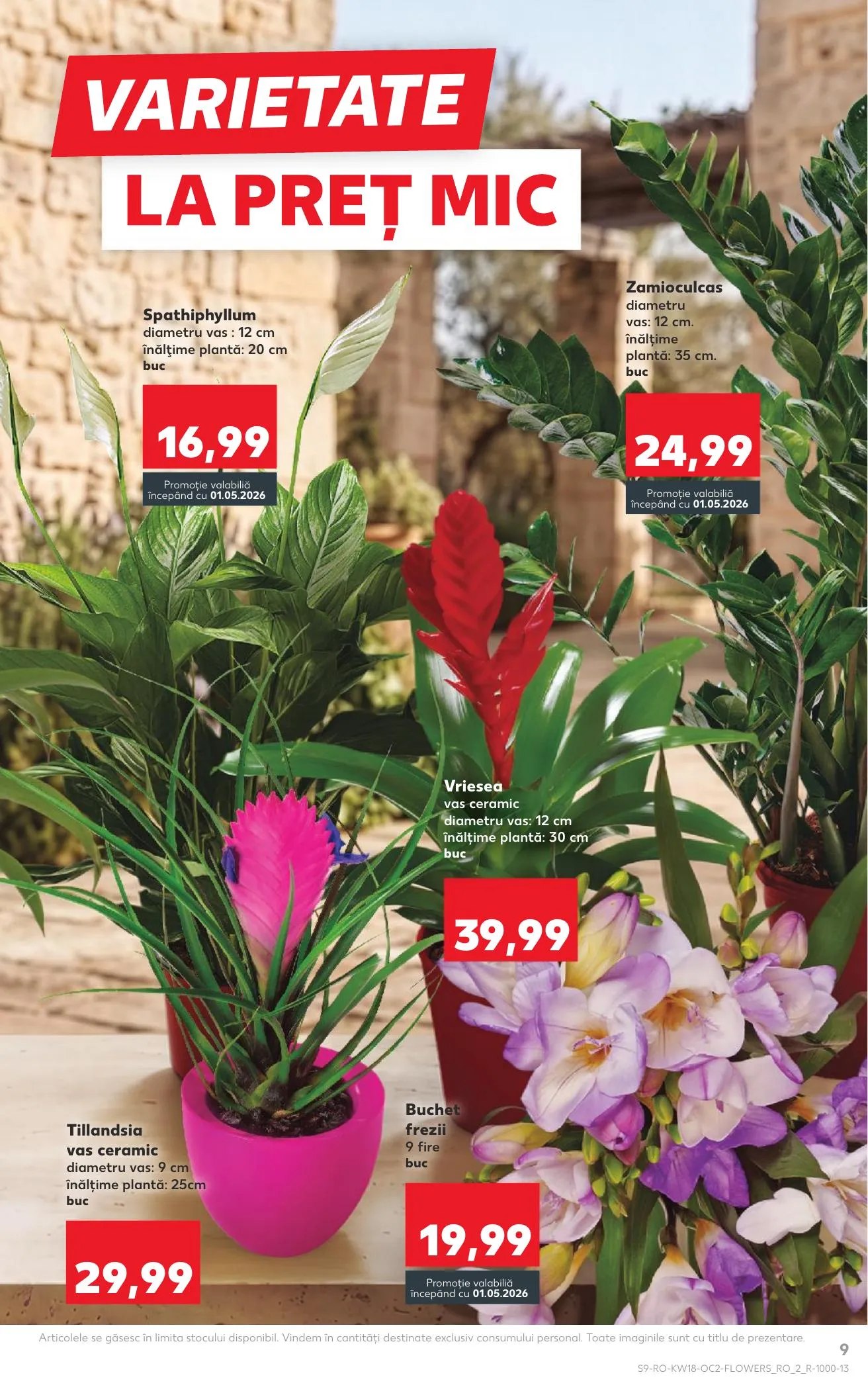 Kaufland akciós újság Románia 04.29–05.05 – 9. oldal