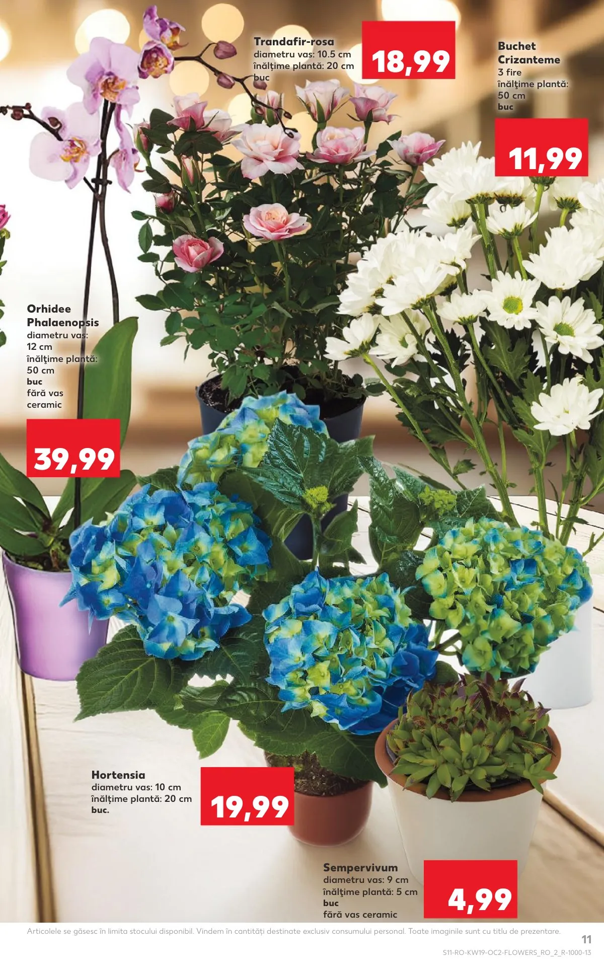 Kaufland akciós újság Románia 05.06–05.12 – 11. oldal