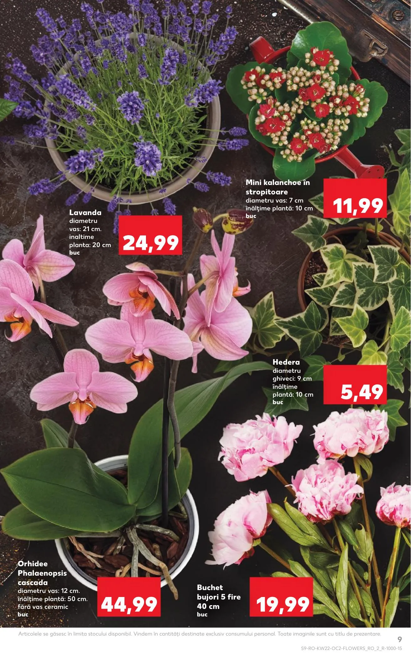 Kaufland akciós újság Románia 05.27–06.02 – 9. oldal