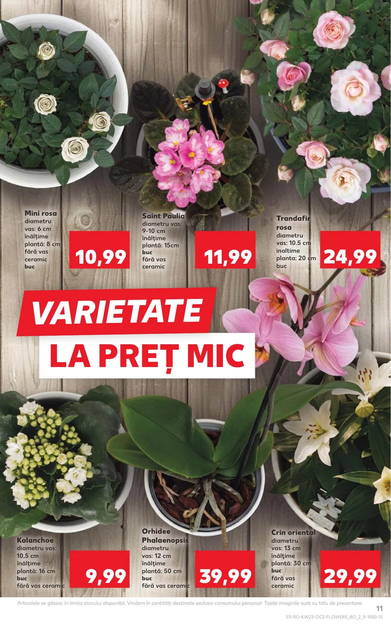 Kaufland akciós újság Románia 06.03–06.09 – 11. oldal
