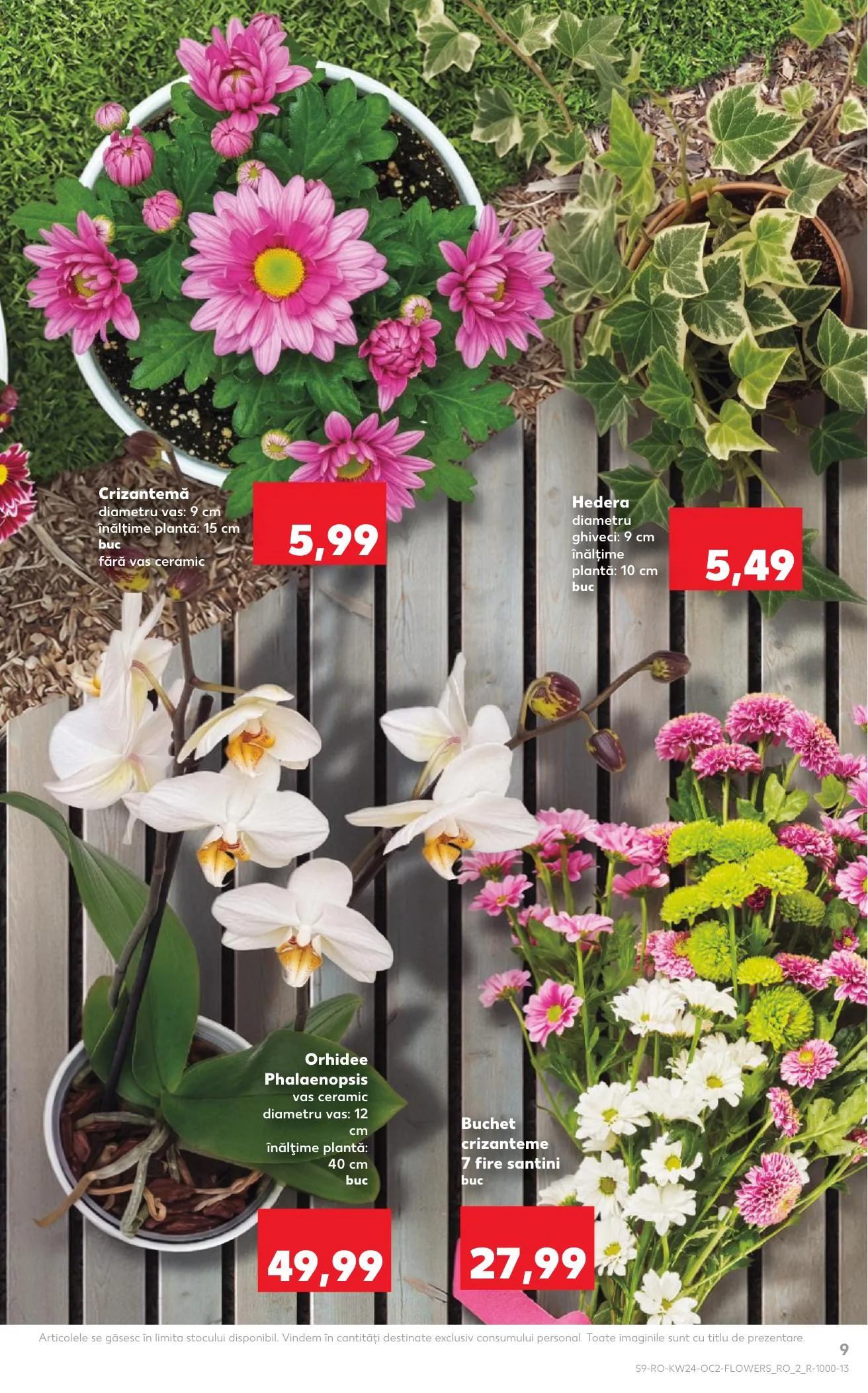 Kaufland akciós újság Románia 06.10–06.16 – 9. oldal