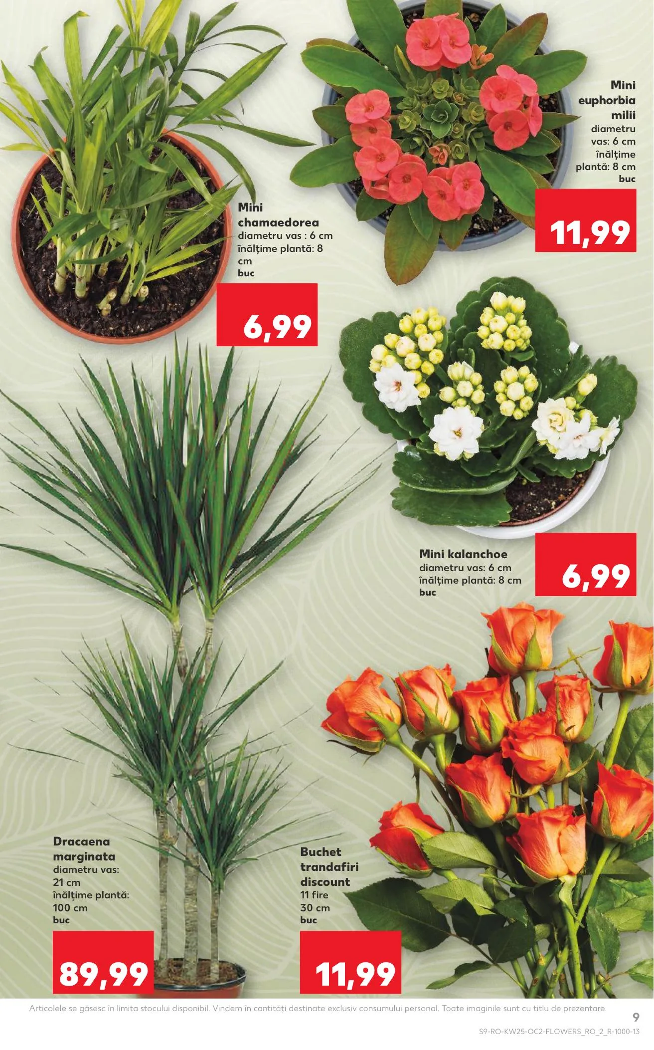 Kaufland akciós újság Románia 06.17–06.23 – 9. oldal