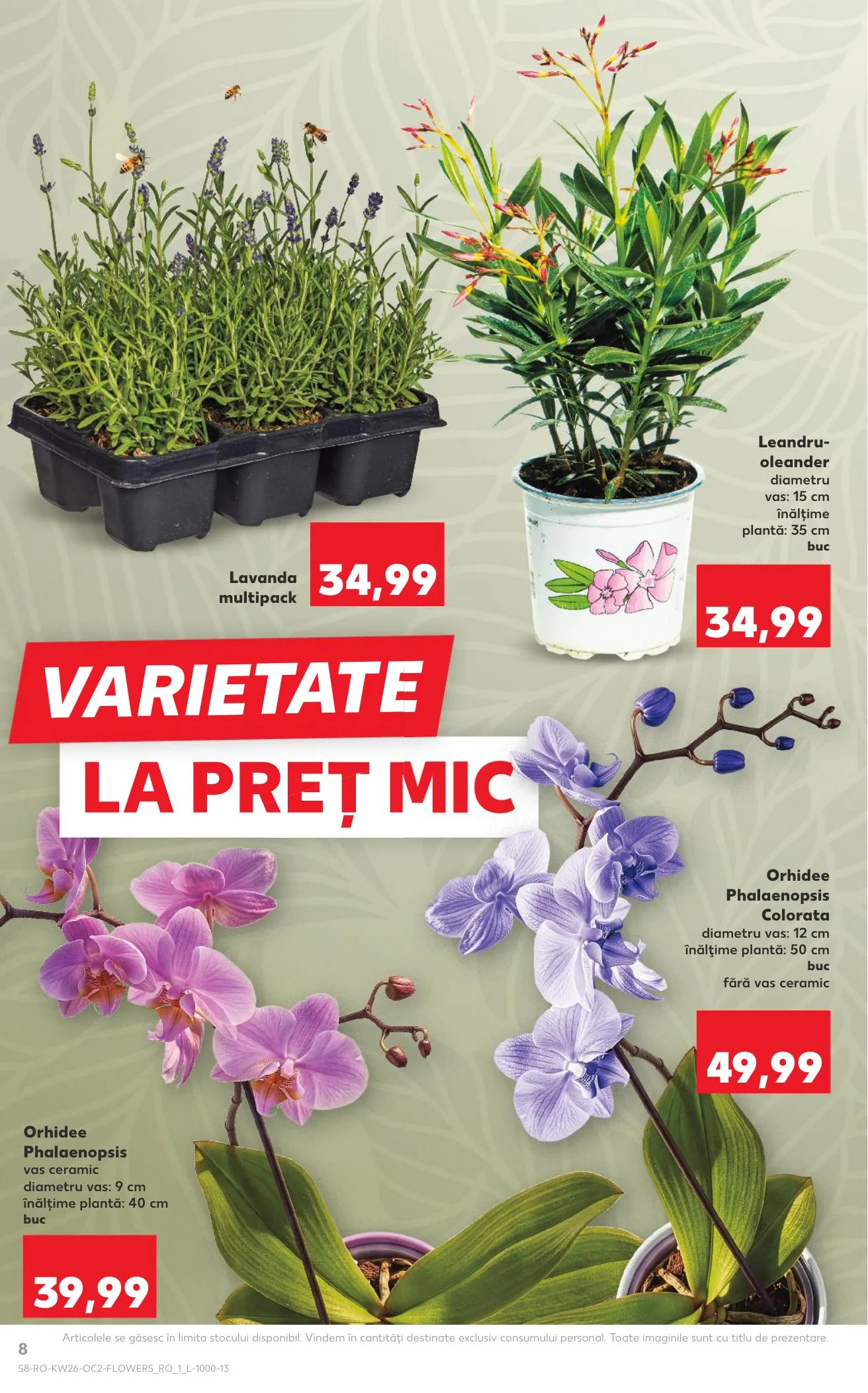 Kaufland akciós újság Románia 06.24–06.30 – 8. oldal