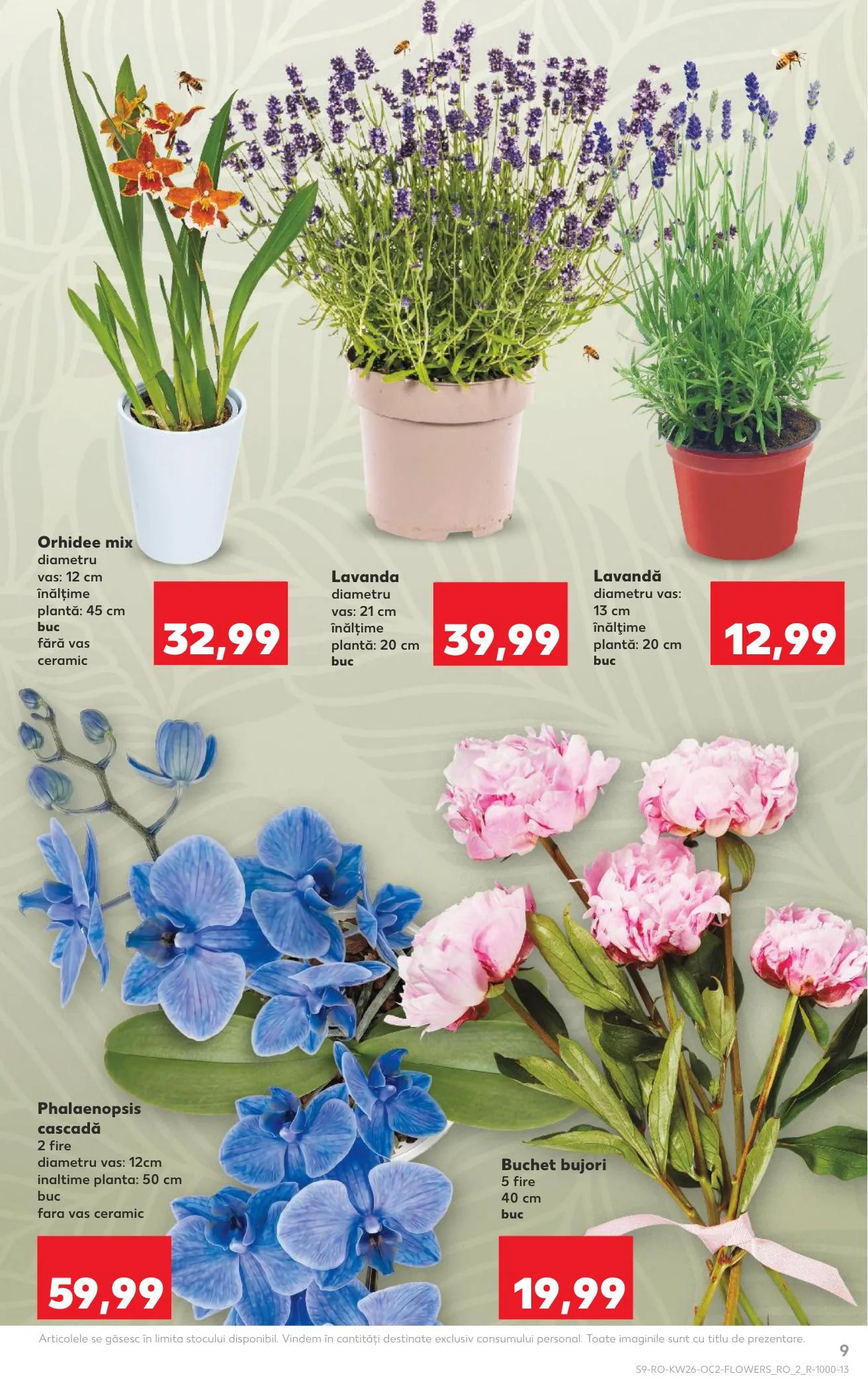 Kaufland akciós újság Románia 06.24–06.30 – 9. oldal
