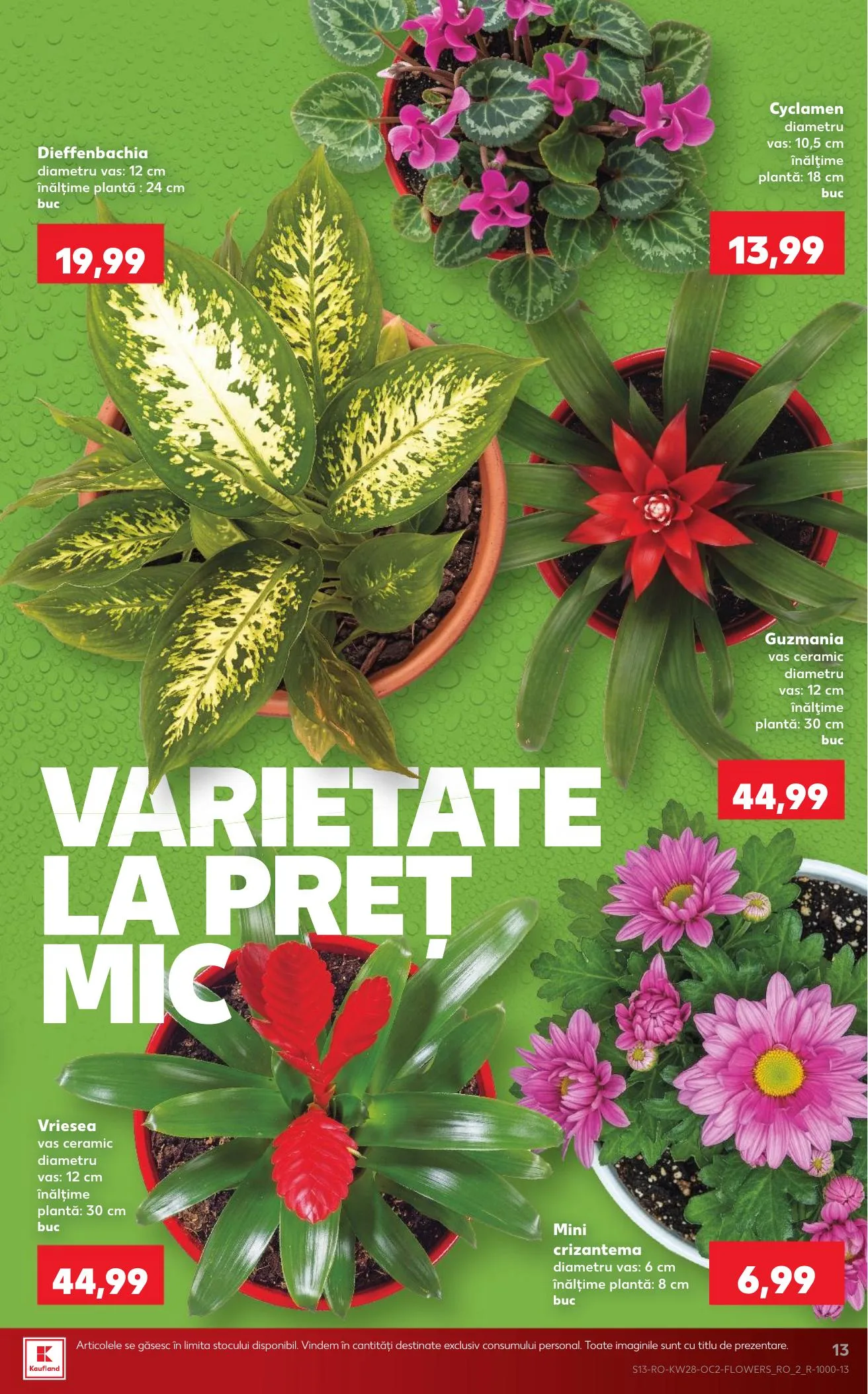Kaufland akciós újság Románia 07.08–07.14 – 13. oldal