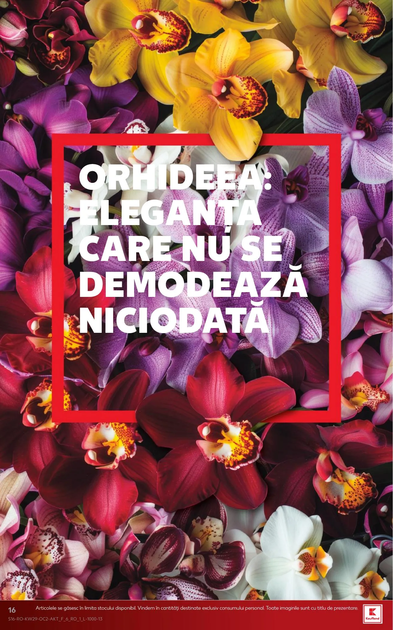 Kaufland akciós újság Románia 07.15–07.21 – 16. oldal