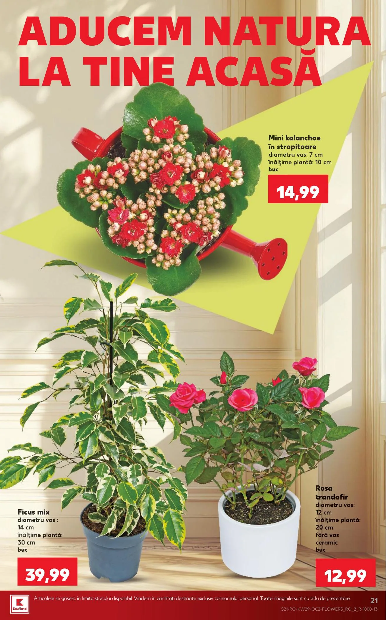 Kaufland akciós újság Románia 07.15–07.21 – 21. oldal