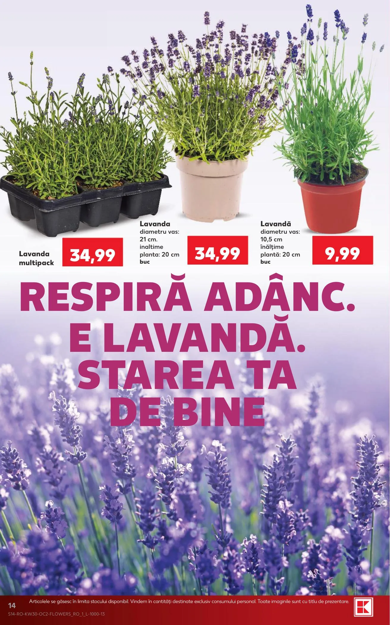 Kaufland akciós újság Románia 07.22–07.28 – 14. oldal
