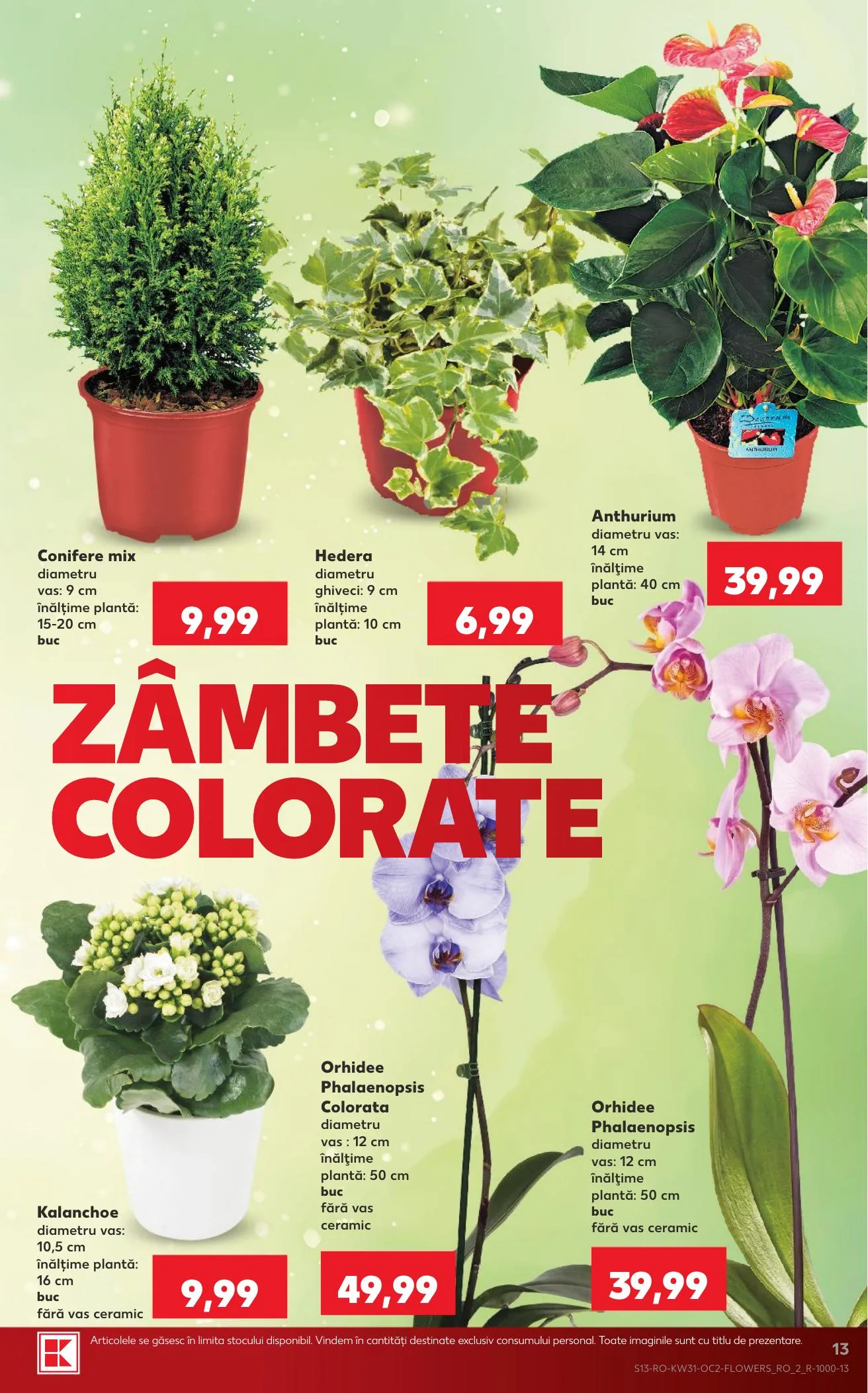 Kaufland akciós újság Románia 07.29–08.04 – 13. oldal