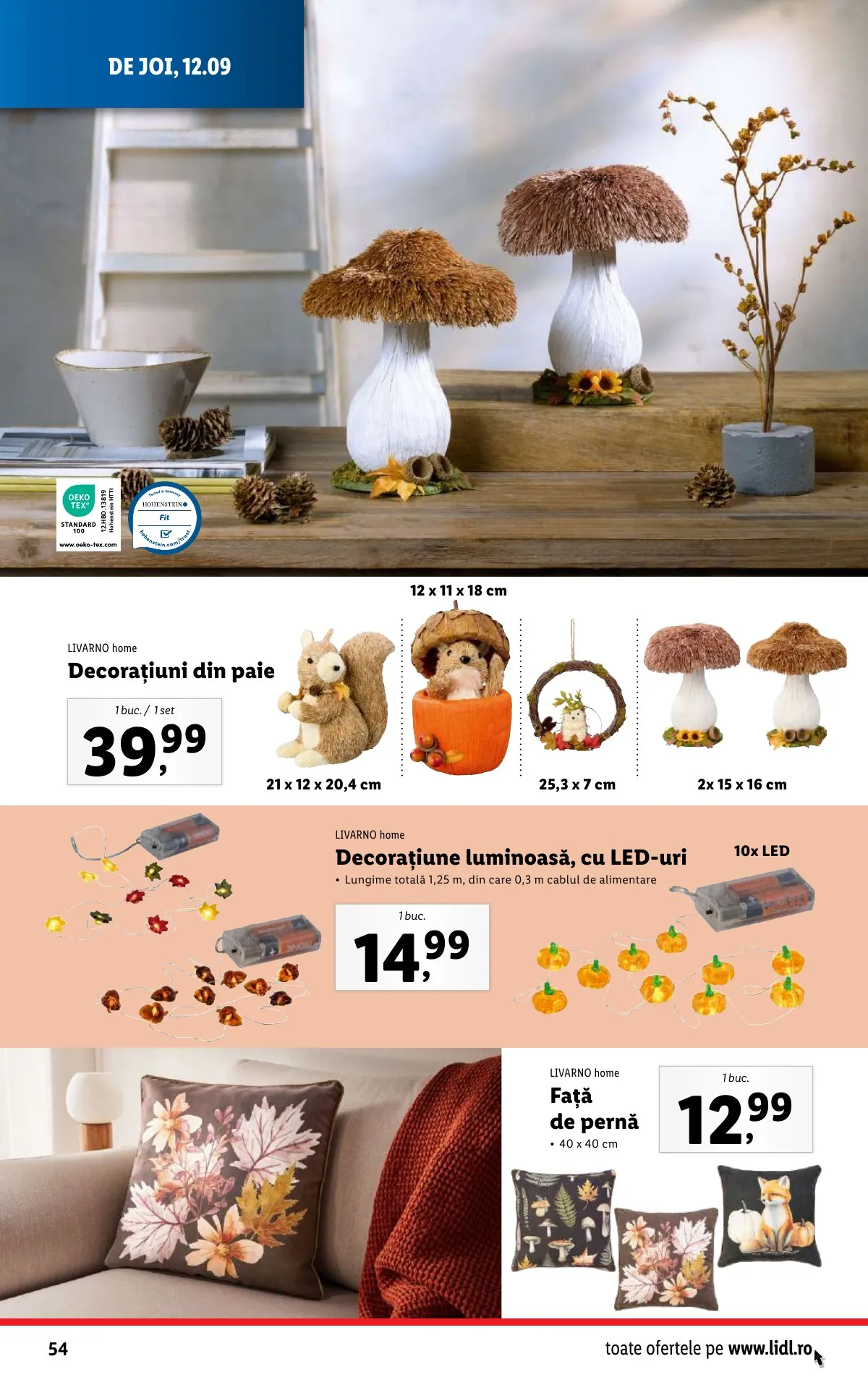 Lidl akciós újság Románia 09.09–09.15 – 53. oldal