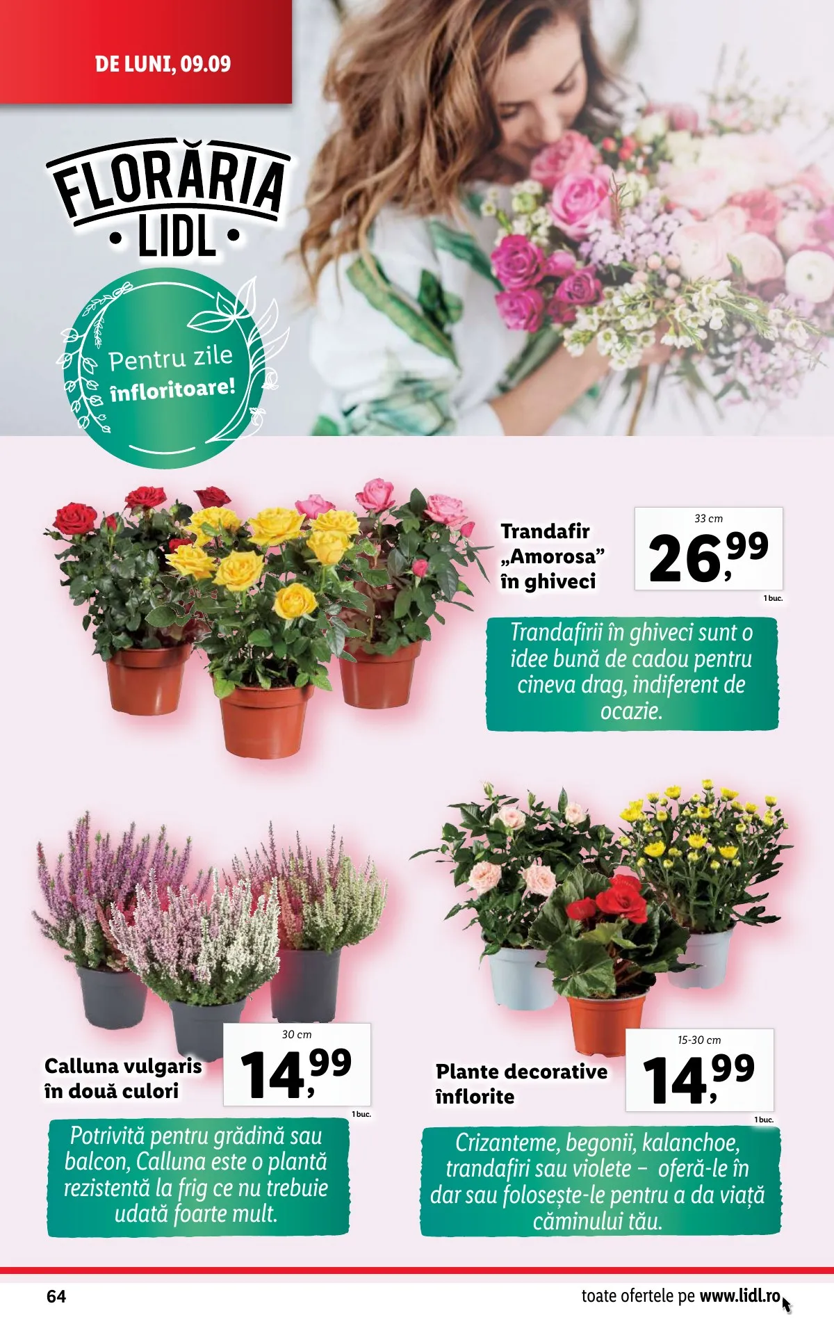Lidl akciós újság Románia 09.09–09.15 – 62. oldal