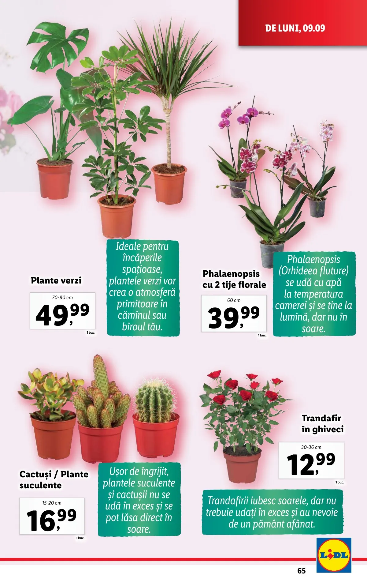 Lidl akciós újság Románia 09.09–09.15 – 63. oldal