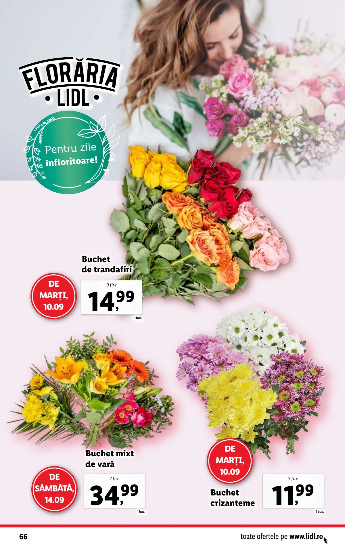 Lidl akciós újság Románia 09.09–09.15 – 64. oldal