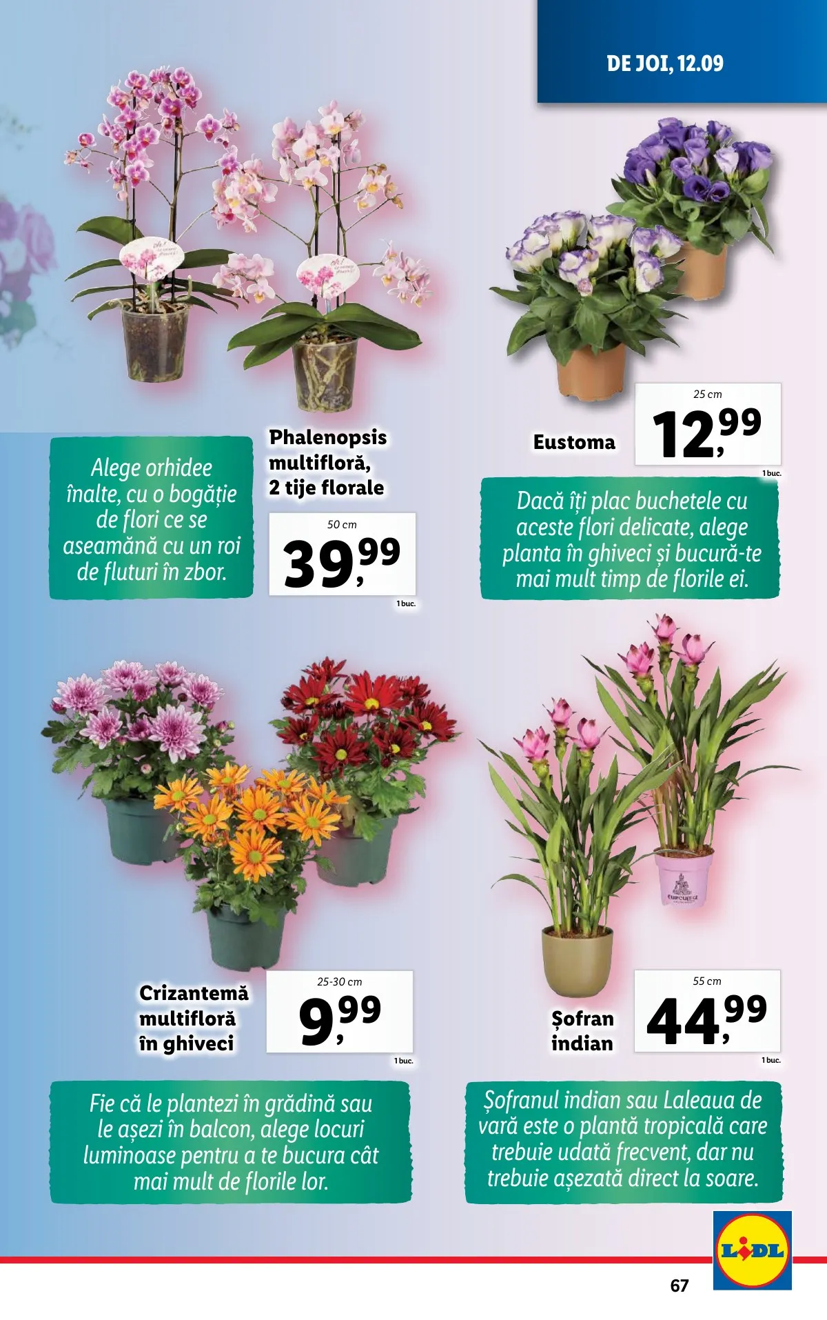 Lidl akciós újság Románia 09.09–09.15 – 65. oldal