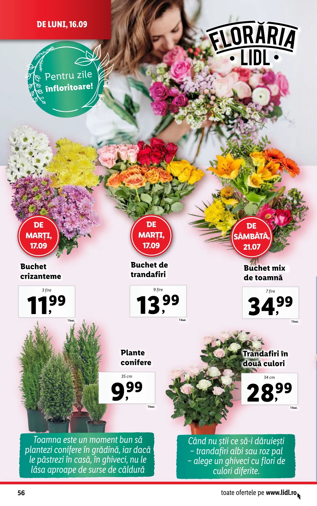 Lidl akciós újság Románia 09.16–09.22 – 56. oldal