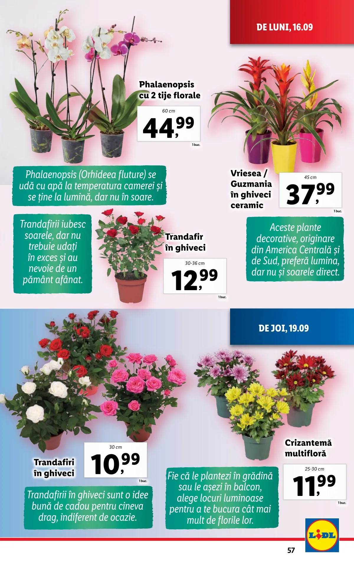 Lidl akciós újság Románia 09.16–09.22 – 57. oldal