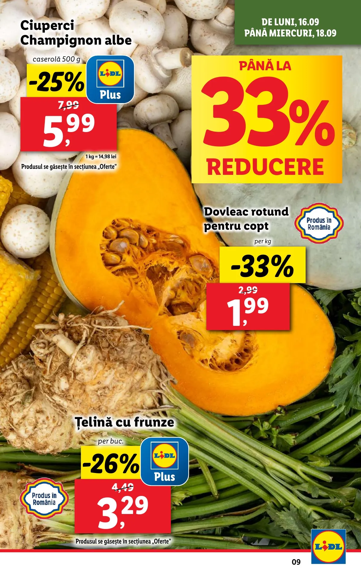 Lidl akciós újság Románia 09.16–09.22 – 9. oldal